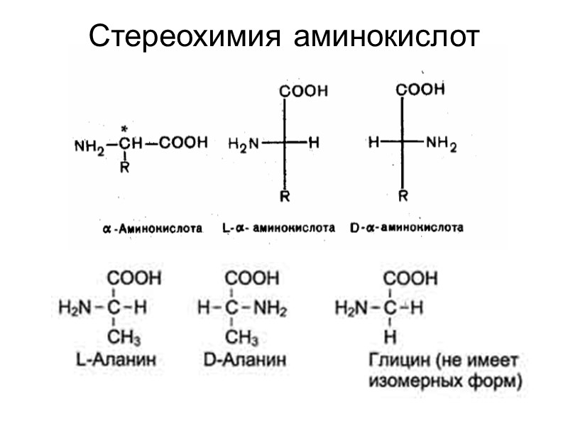Стереохимия аминокислот